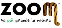 ZOOM Torino
